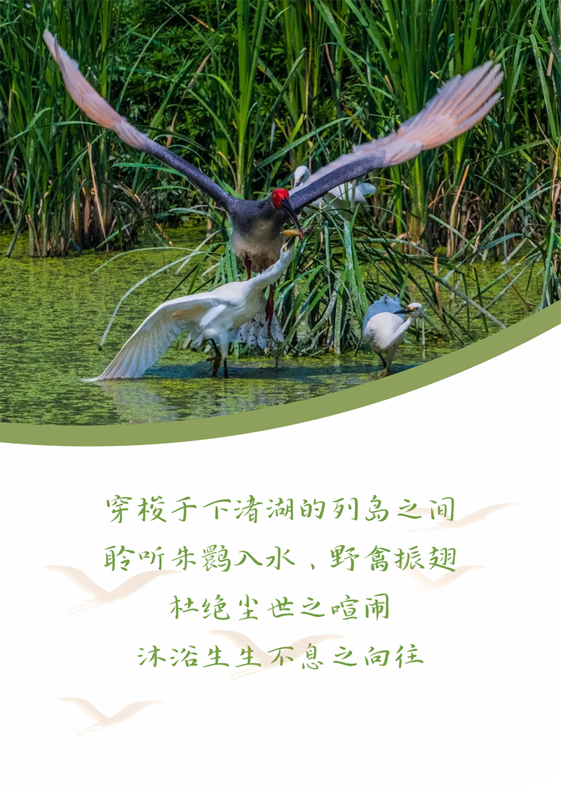 心心念廿 相伴EVO真人 | 与德清相约 贺廿载诞辰